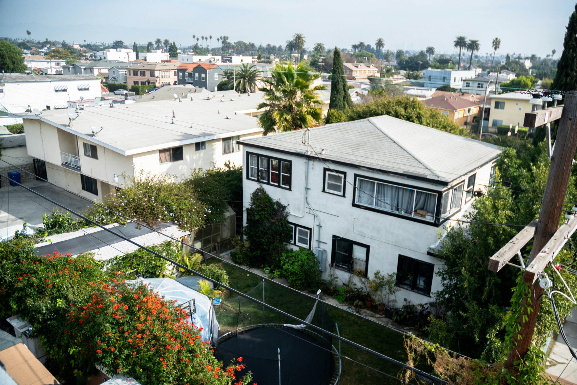 Two-story houses with overgrown gardens and trees.
